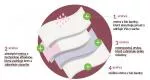 Organyc Menstruační kalhotky z bio bavlny - ultraabsorpční XS